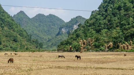 La grande vadrouille vers Bản Giốc