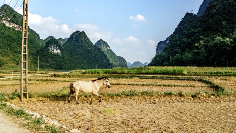 Ballade près du village des forgerons (Huyện Quảng)
