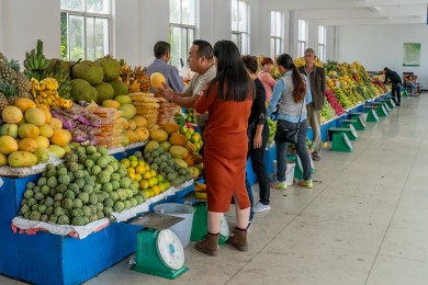 DSC09109
