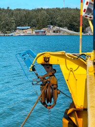 IMG_1250