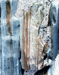 IMG_1911_jpg