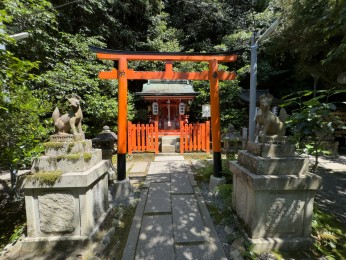 Les kitsune d'Inari
