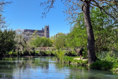 Bourges et ses marais