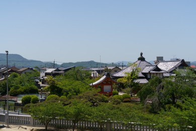 La plaine de Kibi