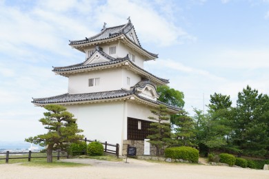 Le donjon de Marugame