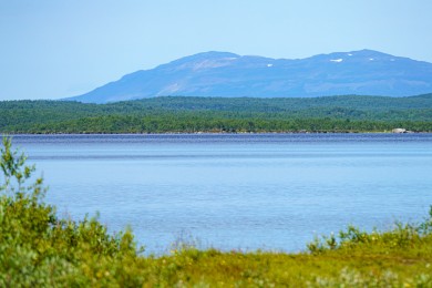 RIV6644