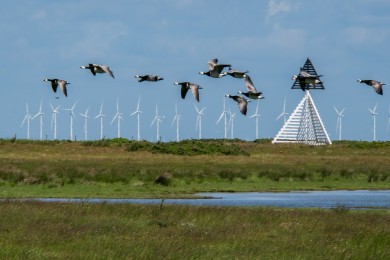Skanör