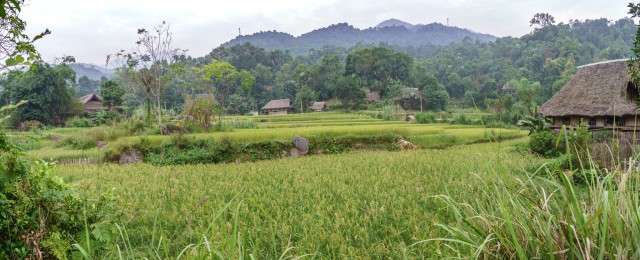 Hạ Thành la verdoyante (Hà Giang)