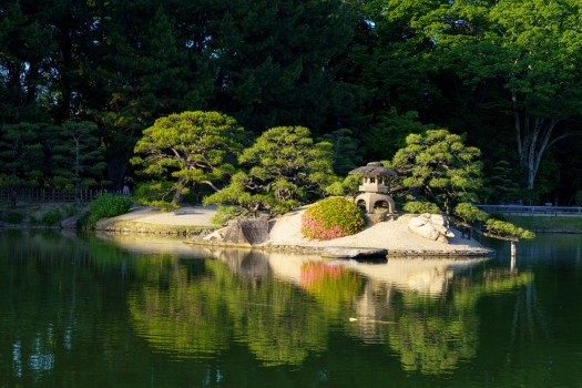 Le soir dépose une lumière de miel sur l’étang. Au centre, un îlot de pins taillés, une lanterne de pierre, quelques azalées roses, et leur reflet parfait dans l’eau immobile. Tout cela a été pensé voici trois siècles pour que chaque pas révèle un nouveau tableau.