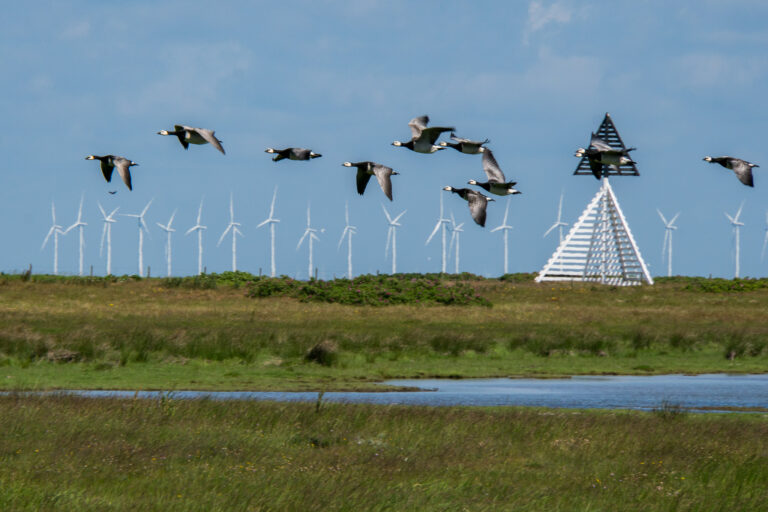 Skanör
