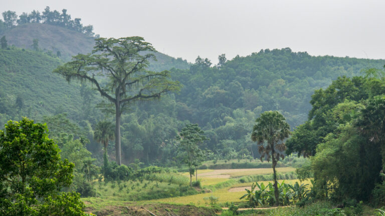 Green Vietnam Ecolodge