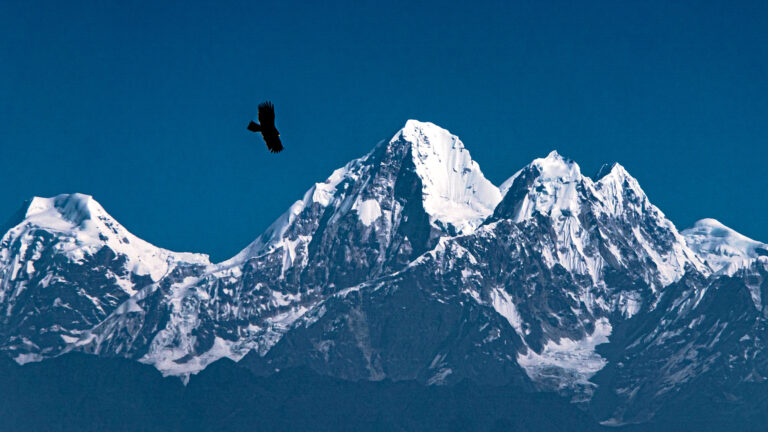 Dorje Lhakpa