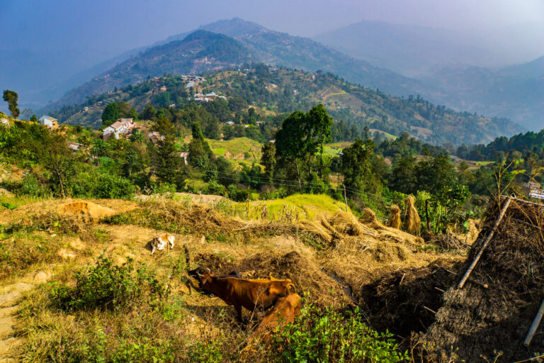 Deupur