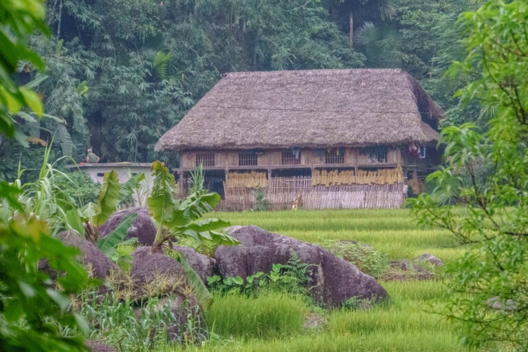Hạ Thành la verdoyante (Hà Giang)
