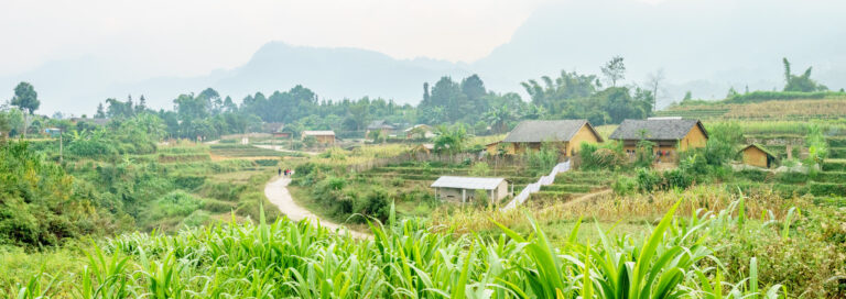 Sur le chemin de Nam Dam (Quan Ba)