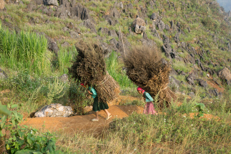Petite randonnée près de Đồng Văn (1'070 m)