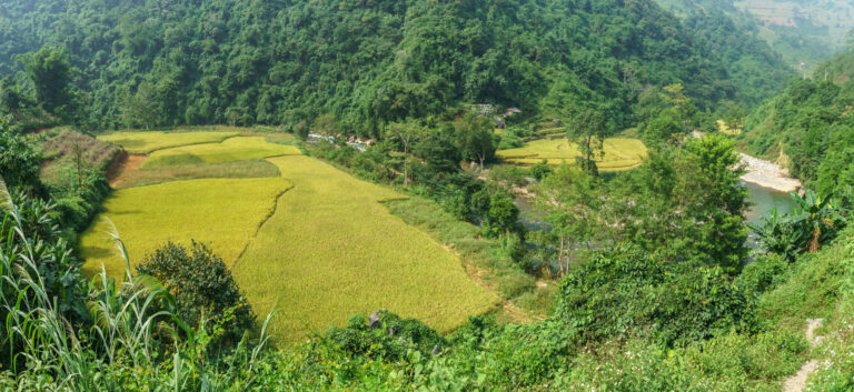 Montée les Lolos Noirs (Khuổi Khon 800m)