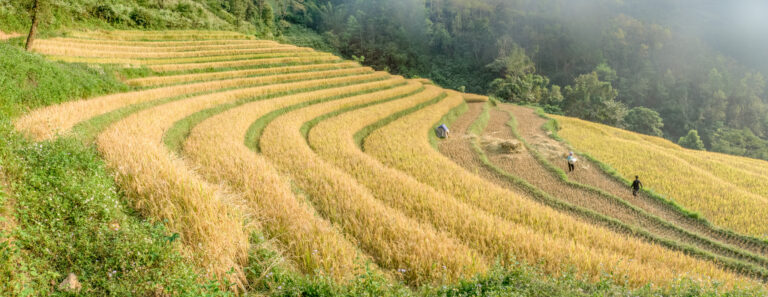 Ballade chez les Lolos Noirs (Khuổi Khon 800m)