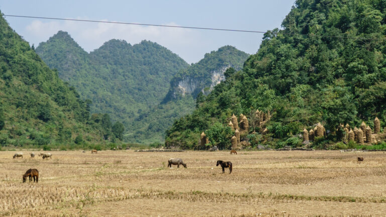 La grande vadrouille vers Bản Giốc