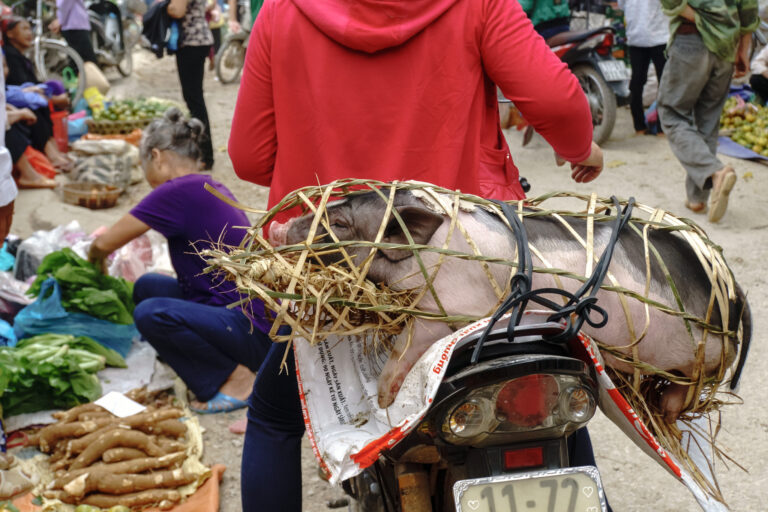 Huyện Quảng (470 m), en route pour Lạng Sơn