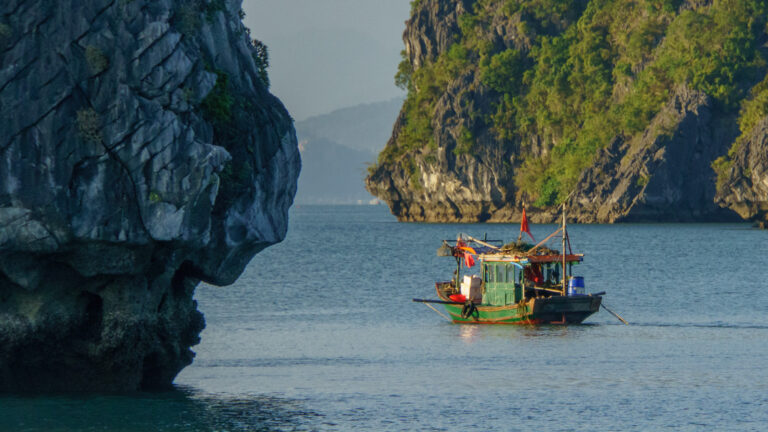 Hạ Long