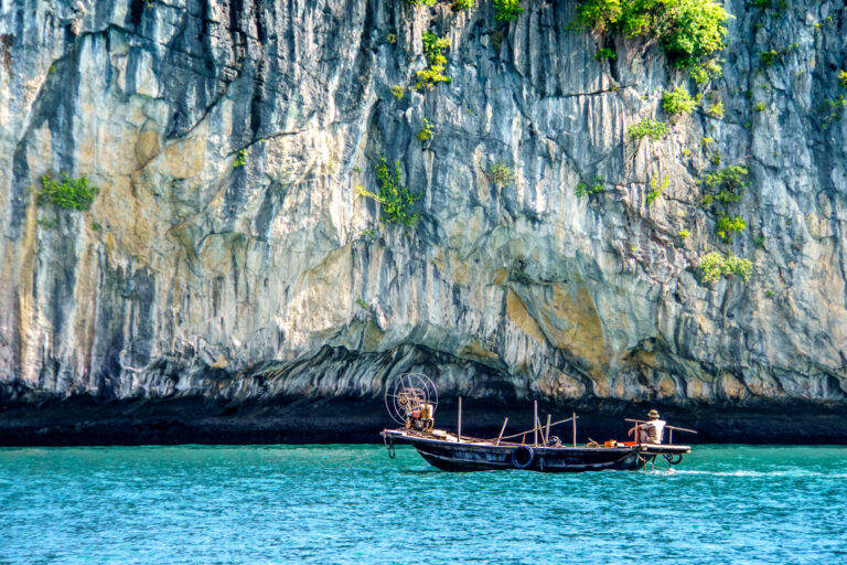 Hạ Long