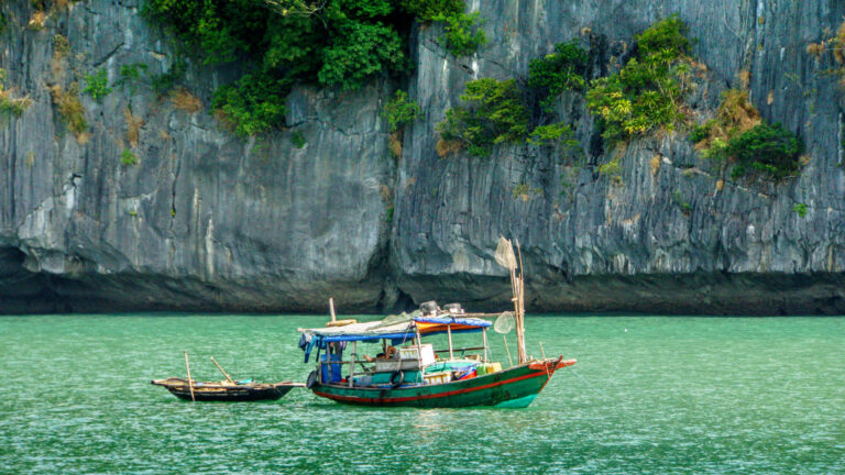 Hạ Long