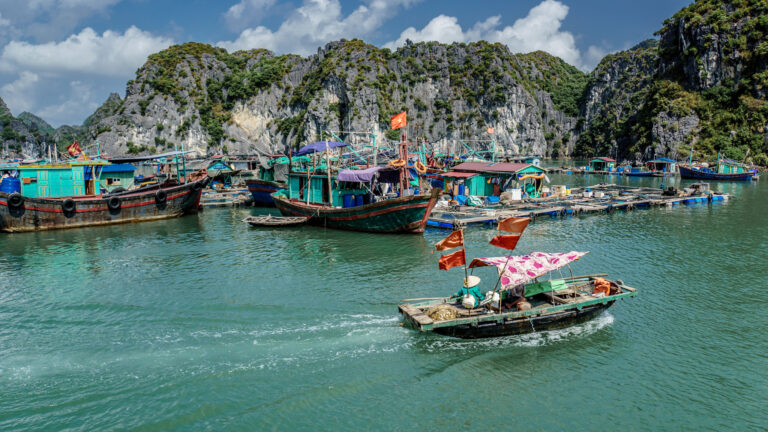 Hạ Long