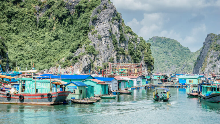 Hạ Long