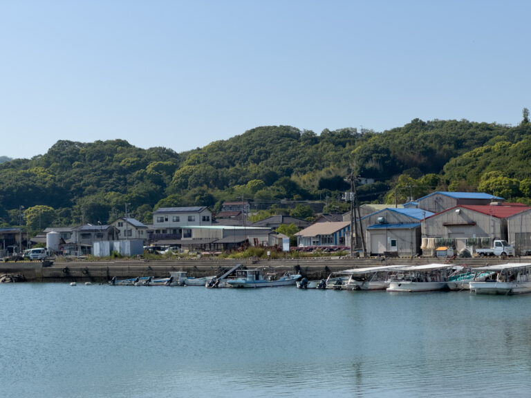 Le petit port