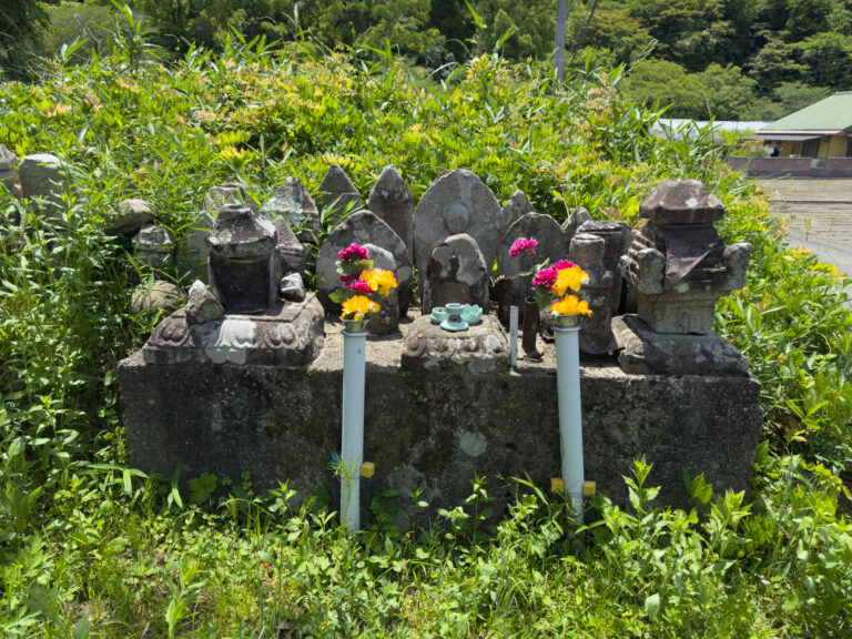 Au bord du chemin
