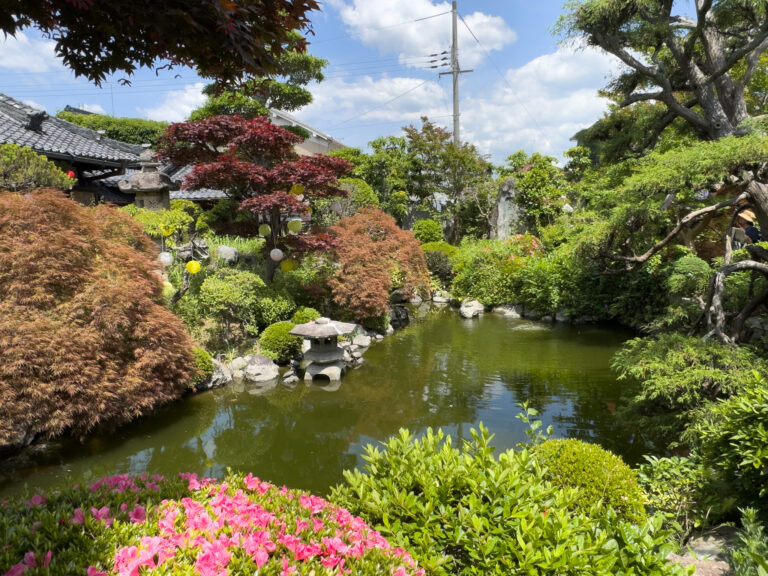 Le jardin de poche