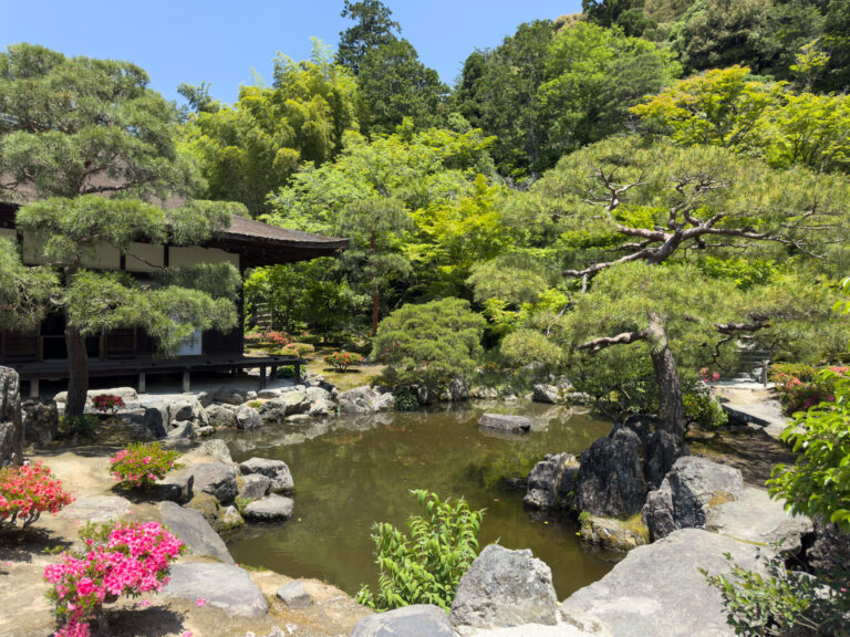 Le jardin d'argent