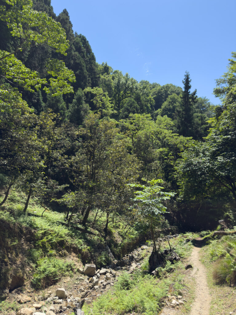 Au pays de l'ours