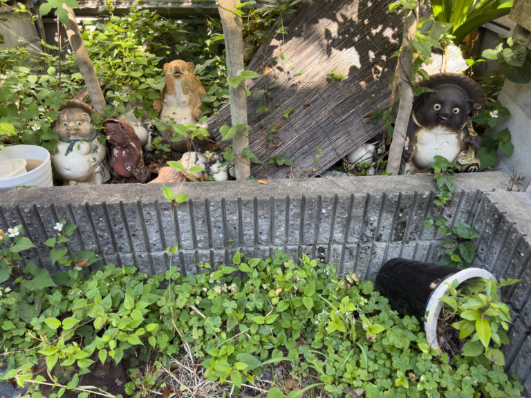 Les tanuki