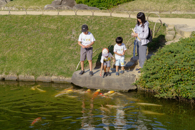 Les koïs du daimyō