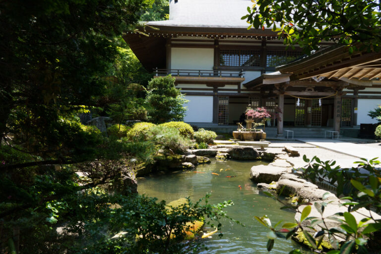 Le jardin du pavillon