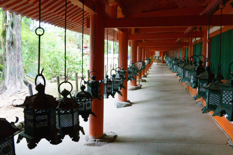 Les lanternes de Kasuga