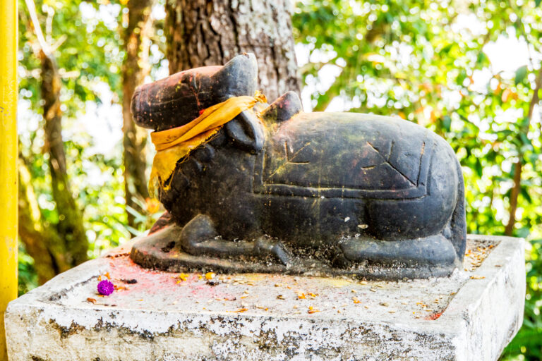 Le taureau de Shiva