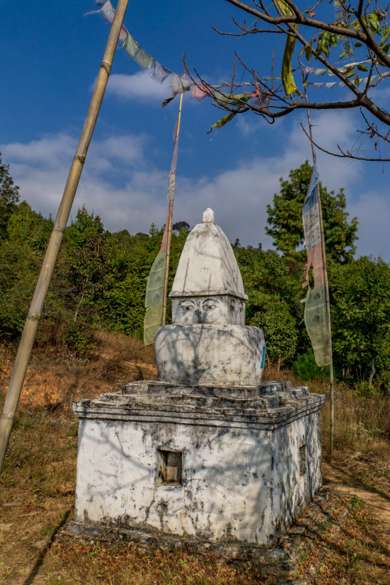 Les modestes yeux du Bouddha